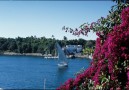Felucca på Nilen, Assuan