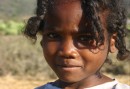 En madagaskisk ung dam