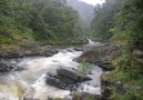 Parc National Ranomafana