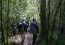 Trekking at the rainforest