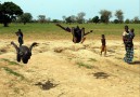 Fulani är kända för sin akrobatik som gav upphov till break-dance
