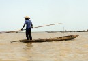 Pirogue