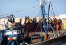 Hamnen i Essaouira