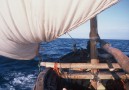 Du får göra en lång segling med dhow