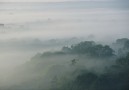 Du gör en kortare vandring i bergsregnskog