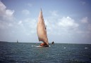 Dhow svarar fortfarande för frakterna längs afrikas östkust