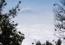 Kilimanjaro från Meru