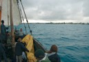 På en dhow anländer vi till Zanzibar