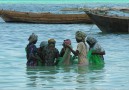 Fiskande kvinnor på Zanzibar