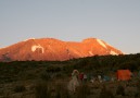 Kilimanjaro