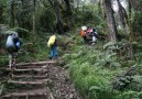 Början av Machame Route, Kilimanjaro