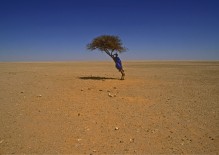 Västsahara. pojke och träd