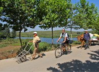Bicycle in China