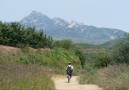 Genom äppelodlingar i Shandongprovinsen