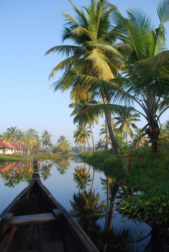 Kanotfärd tidig morgon på Backwaters