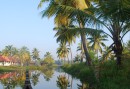 Kanotfärd tidig morgon på Backwaters
