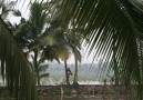 Toddytappare Backwaters