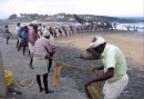 Fiskenäten dras upp tidigt på morgonen i Kovalam