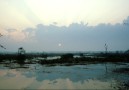 Keoladeo Ghana National Park vid soluppgången