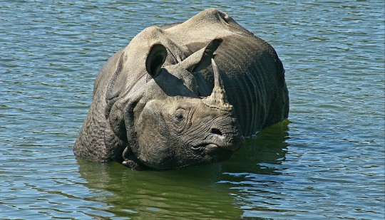 Nature in South Asia