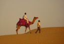 Dromedary route outside Jaisalmer