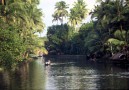 Keralas berömda Backwaters