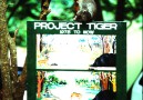 Periyar National Park, Project Tiger