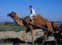 Great Camel Tour