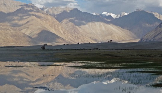 Vandra i Ladakh