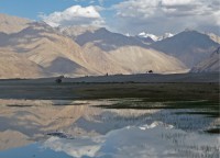 Nubra Valley. Enda platsen med kameler utanför Centralasien