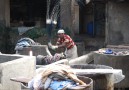 Visit at a large laundrary in Mumbai
