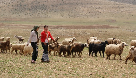 Iran