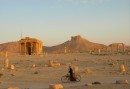 Gryning i ruinstaden Palmyra