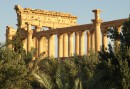 Ökenstaden Palmyra