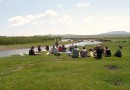 Picknick i det gröna
