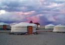 Ger-camp i Gobi