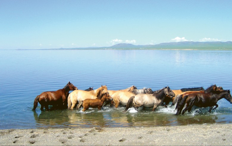 Hästbad i Ögiynuur