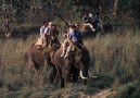 I Chitwan kan du rida på elefant