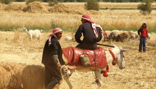 Syria