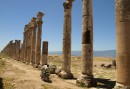 Pelarallén i Apamea