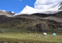 Camp during the trek at Lung La
