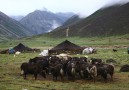During the trek at Cholkor Gyal