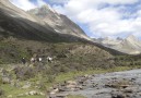 You trek for five to seven hours every day
