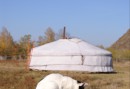 Katter finns även i Mongoliet