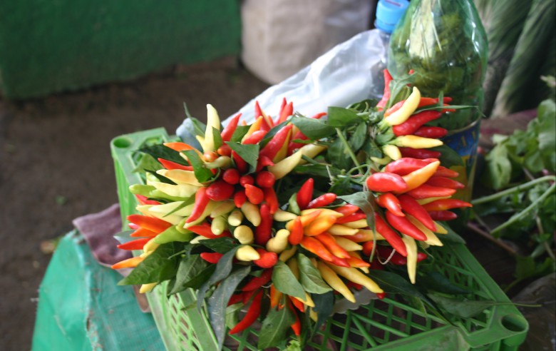 Färggrann chili på Chorsu Bazar