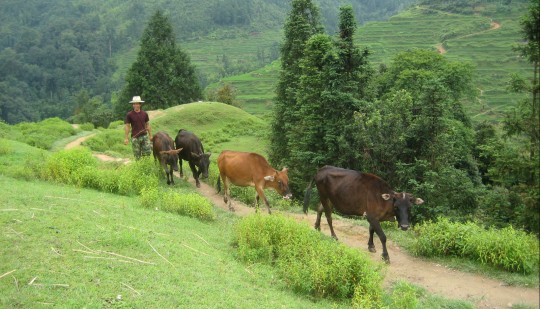 Möte på vandringen