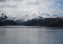 Patagoniens vidder