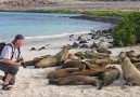 Djuren på Galapagos är inte rädda för människor