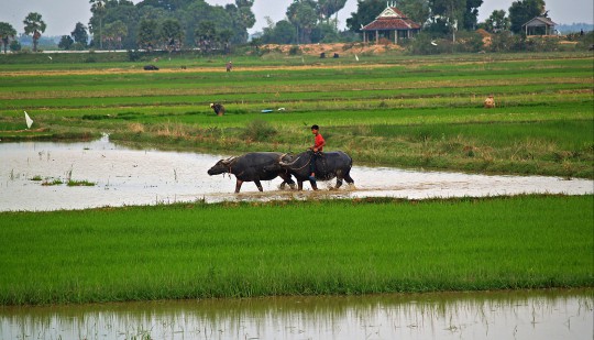 Kambodja - Laos - Vietnam