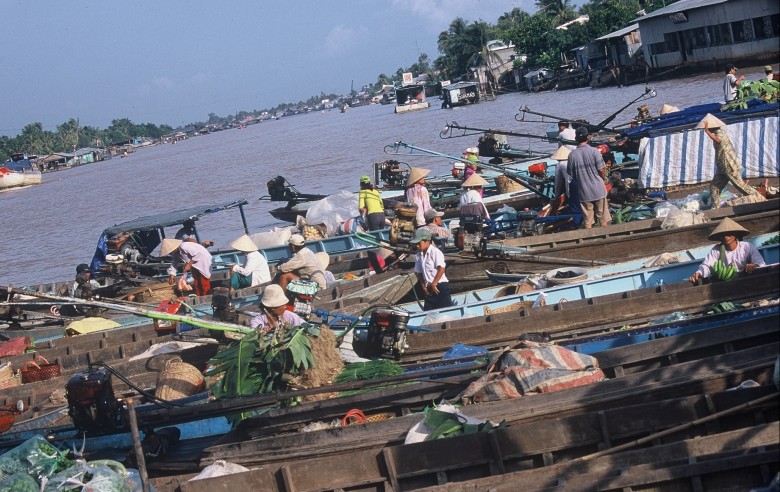 Mekong+delta+vietnam+war